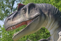 Killikus&reg; Fotographie